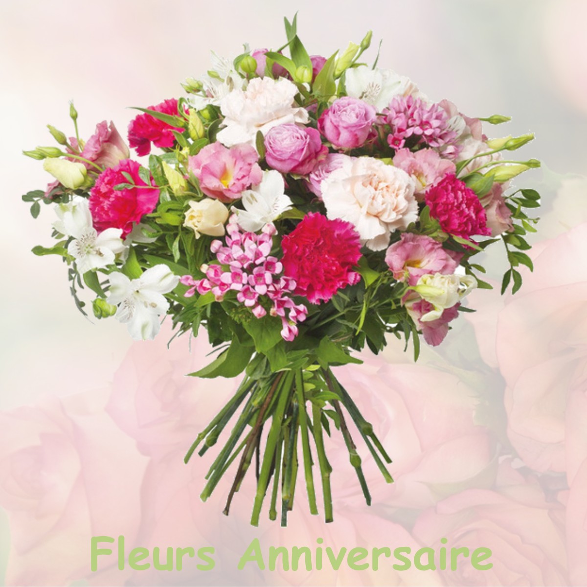 fleurs anniversaire MONTGAILLARD