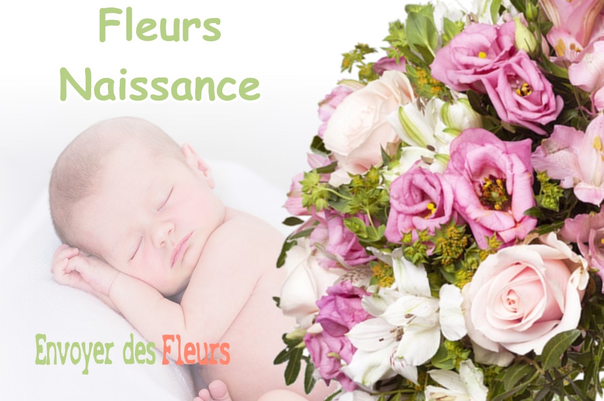 lIVRAISON FLEURS NAISSANCE à MONTGAILLARD