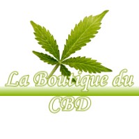 LA BOUTIQUE DU CBD MONTGAILLARD 